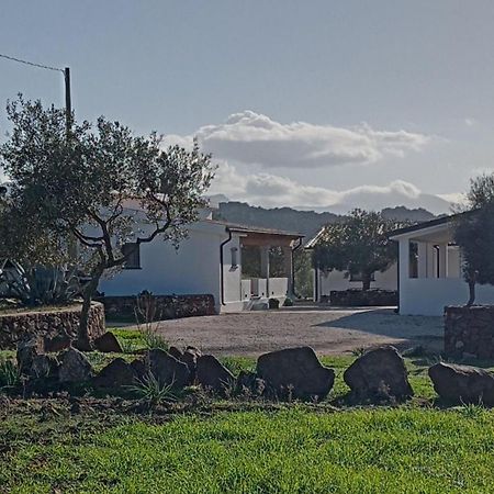 Agriturismo Sa Murta Dorgali Zewnętrze zdjęcie