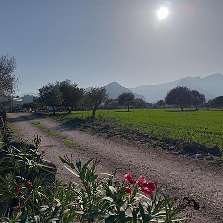 Agriturismo Sa Murta Dorgali Zewnętrze zdjęcie