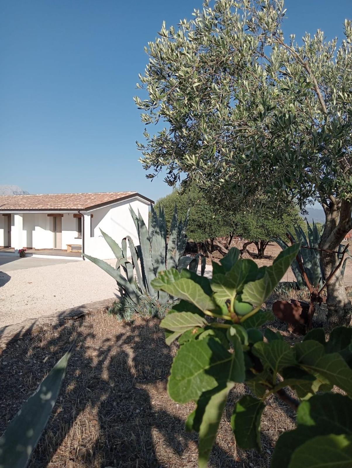 Agriturismo Sa Murta Dorgali Zewnętrze zdjęcie