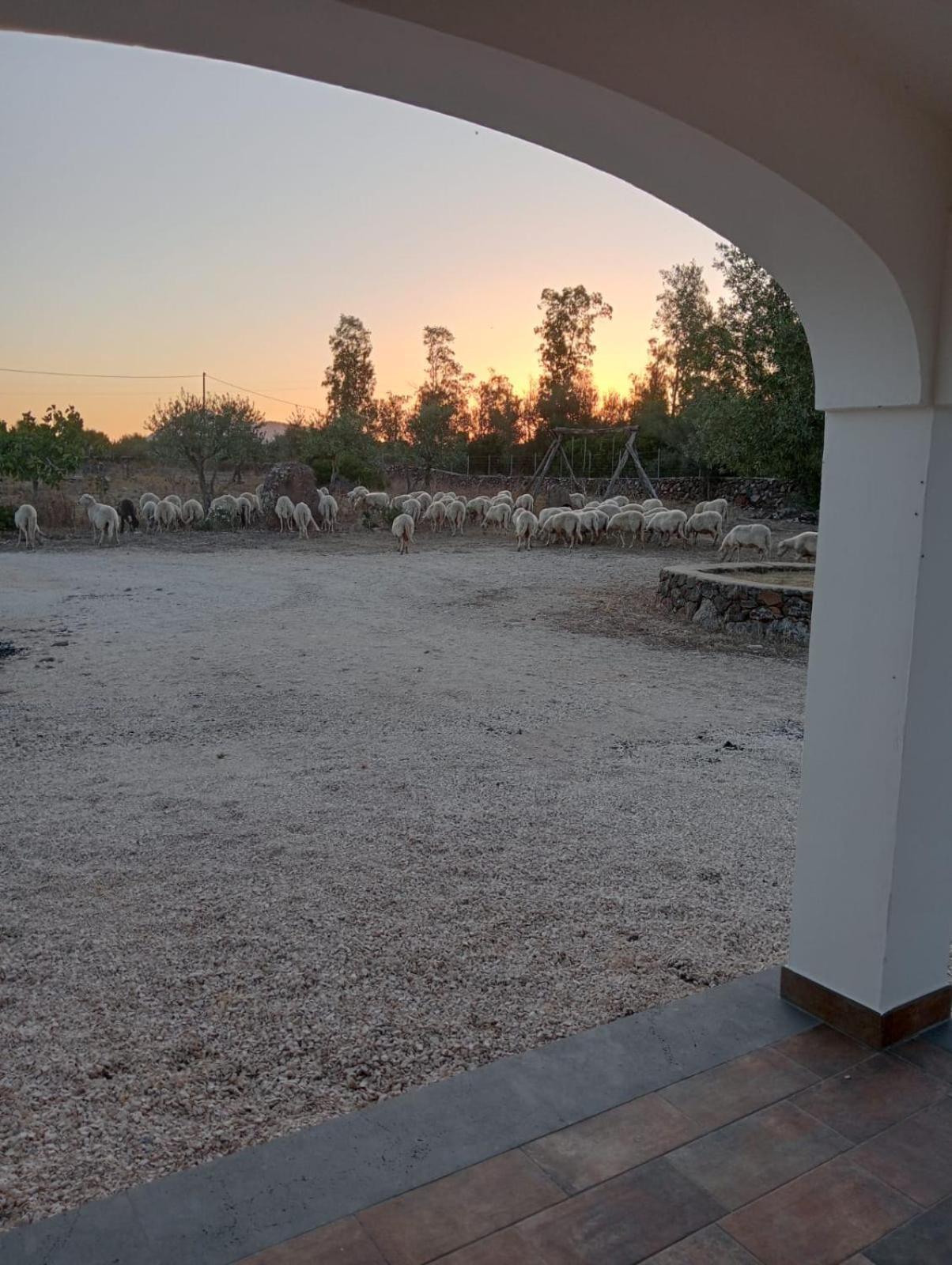 Agriturismo Sa Murta Dorgali Zewnętrze zdjęcie
