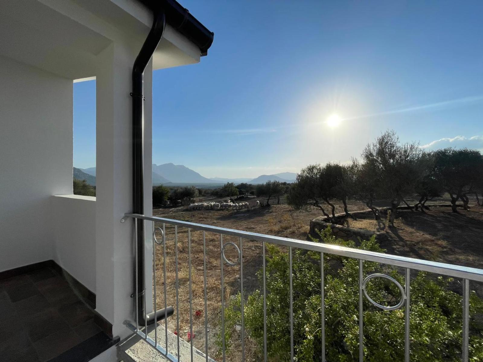 Agriturismo Sa Murta Dorgali Zewnętrze zdjęcie
