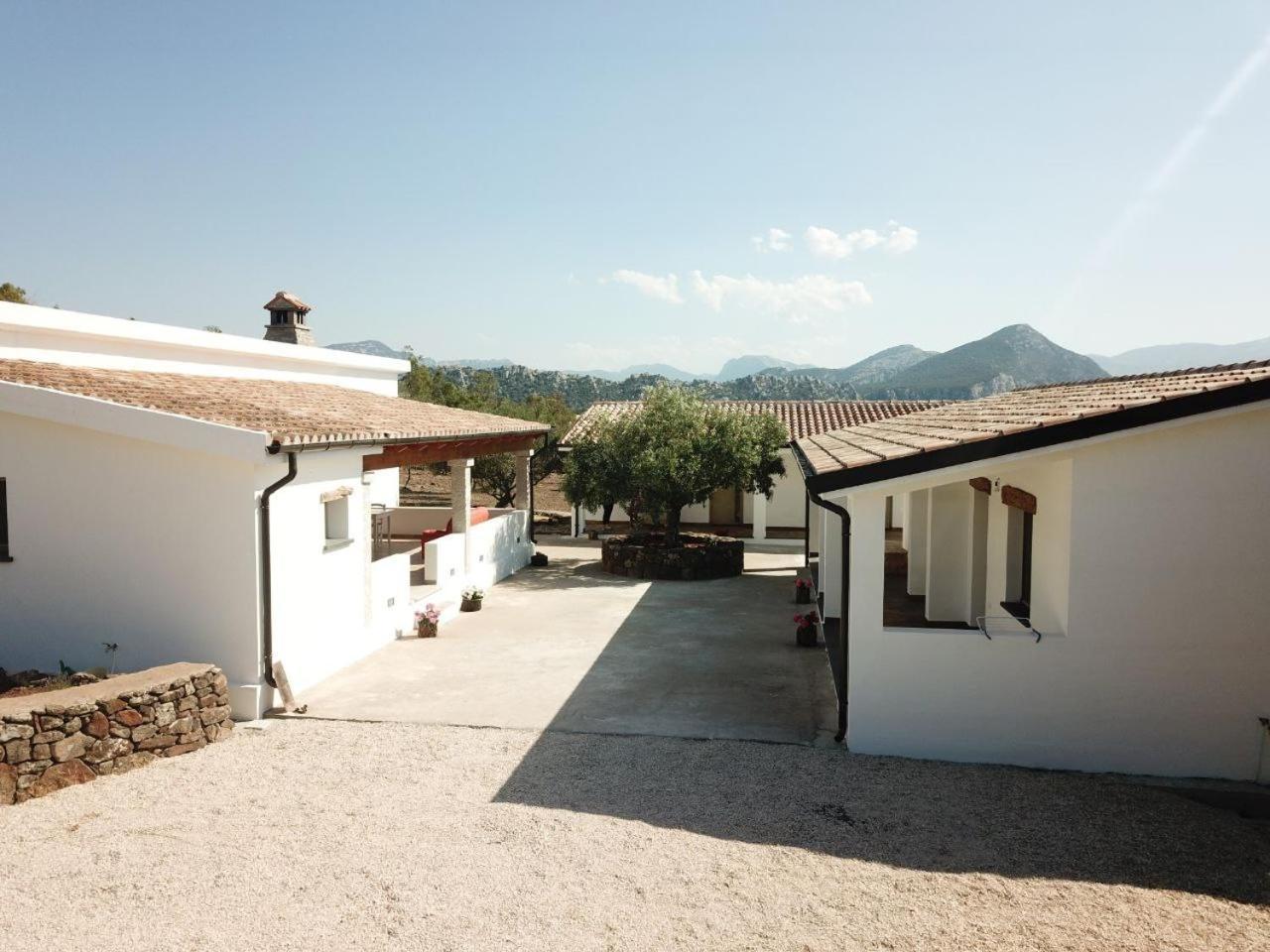 Agriturismo Sa Murta Dorgali Zewnętrze zdjęcie