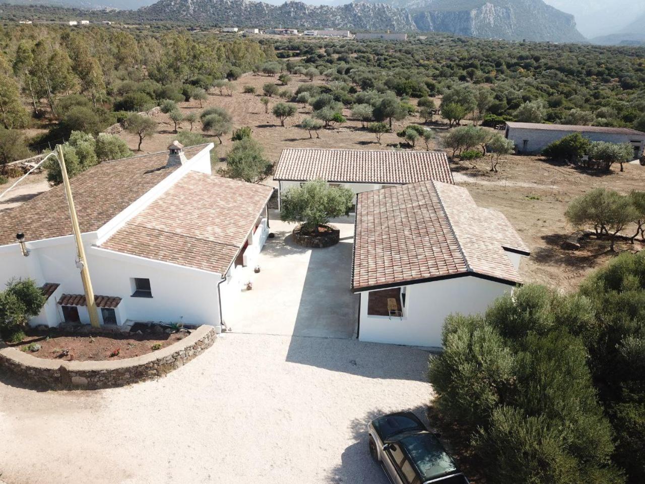 Agriturismo Sa Murta Dorgali Zewnętrze zdjęcie