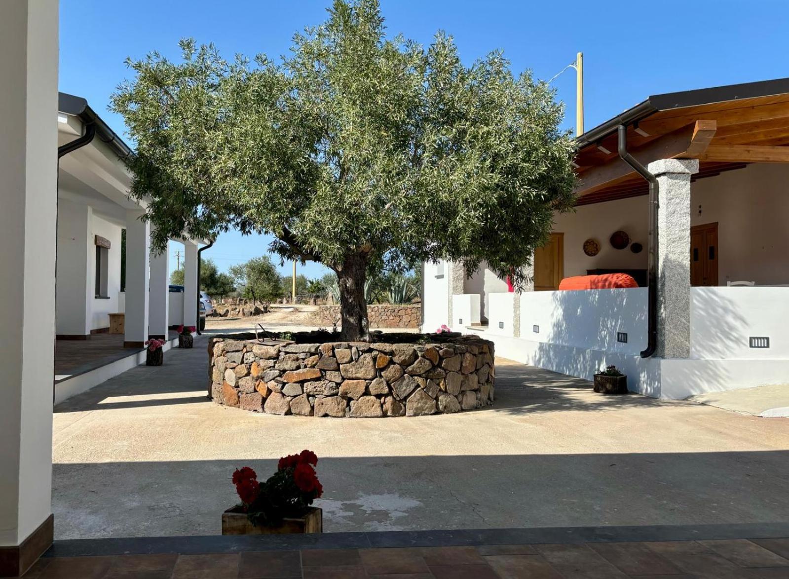 Agriturismo Sa Murta Dorgali Zewnętrze zdjęcie