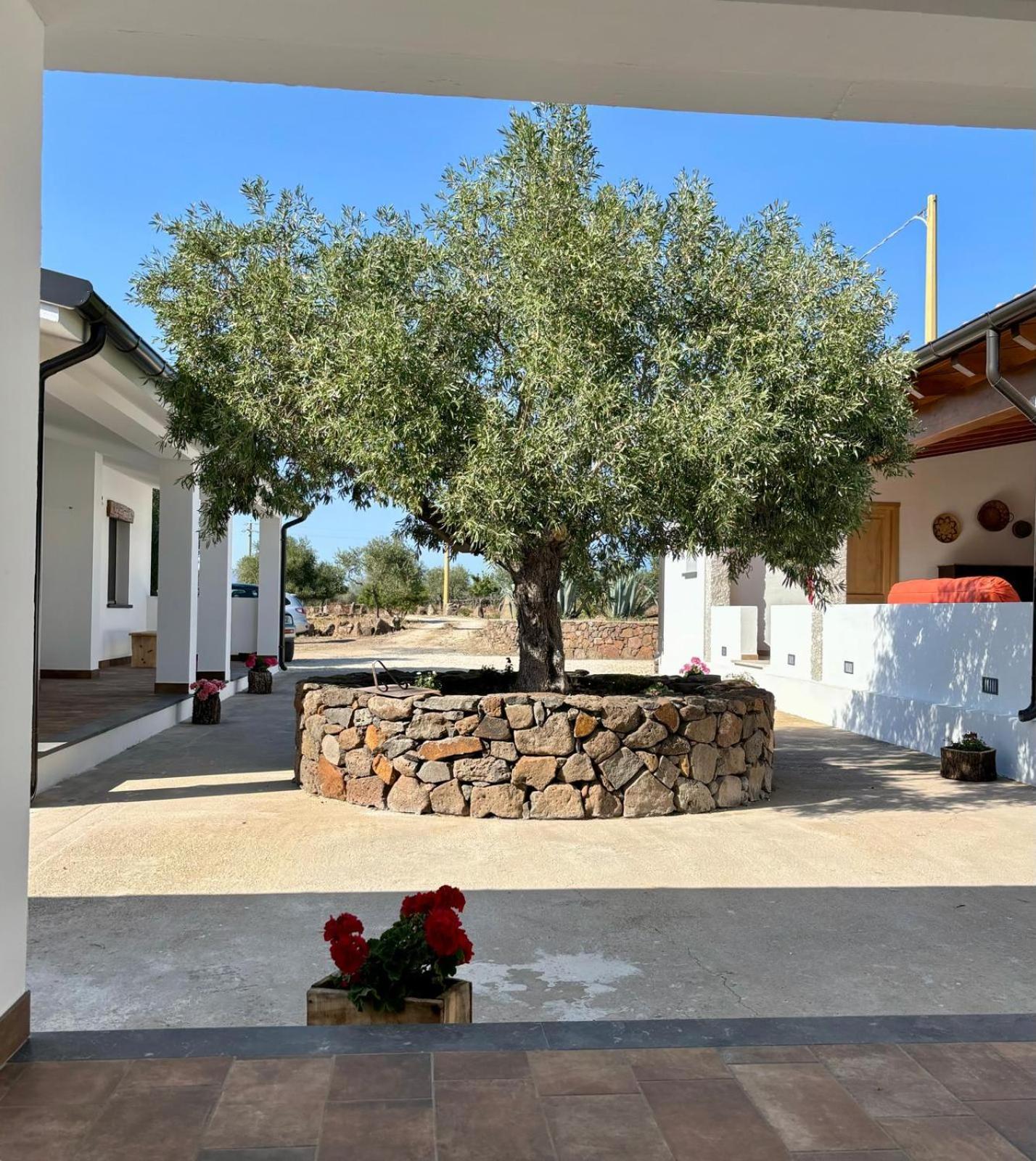 Agriturismo Sa Murta Dorgali Zewnętrze zdjęcie