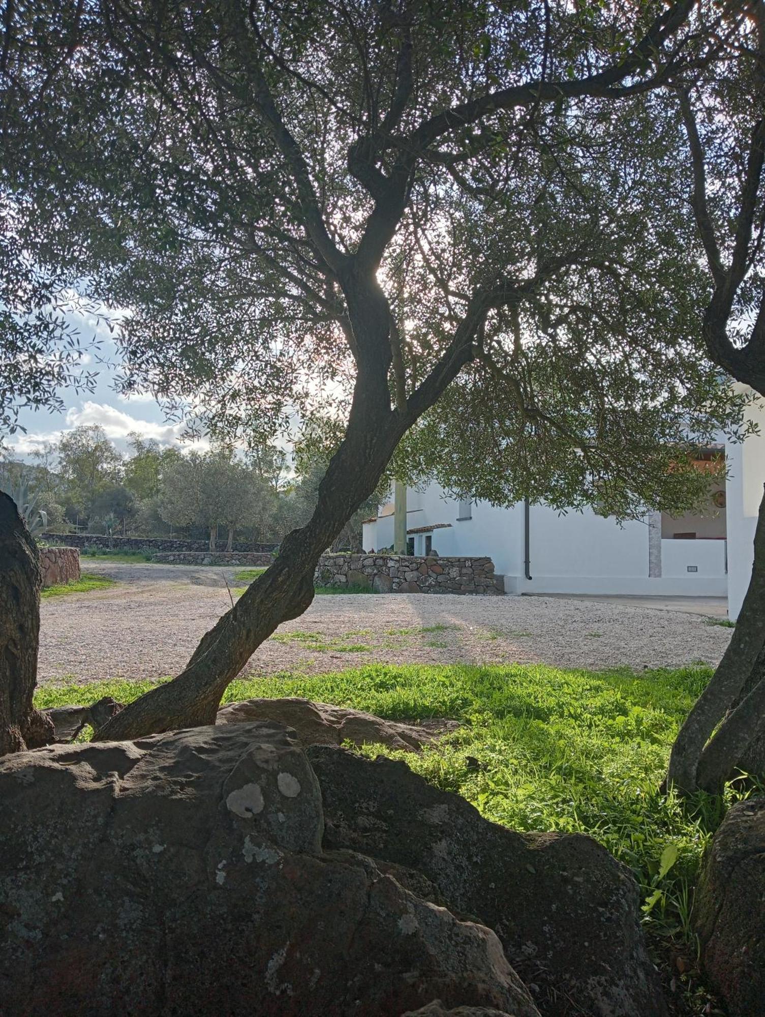 Agriturismo Sa Murta Dorgali Zewnętrze zdjęcie