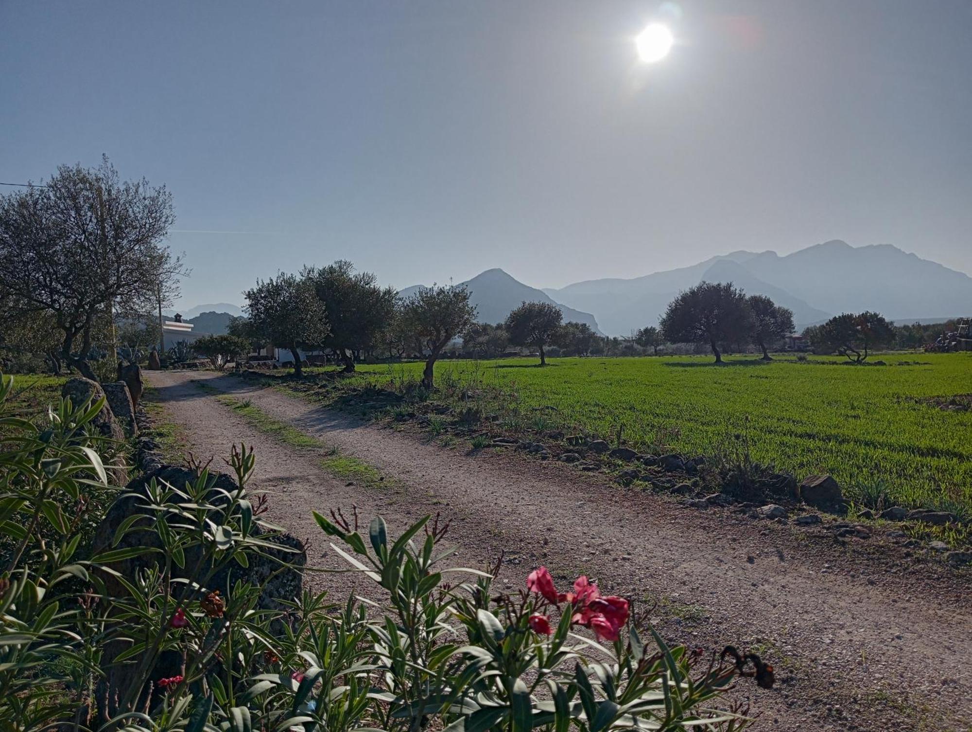 Agriturismo Sa Murta Dorgali Zewnętrze zdjęcie