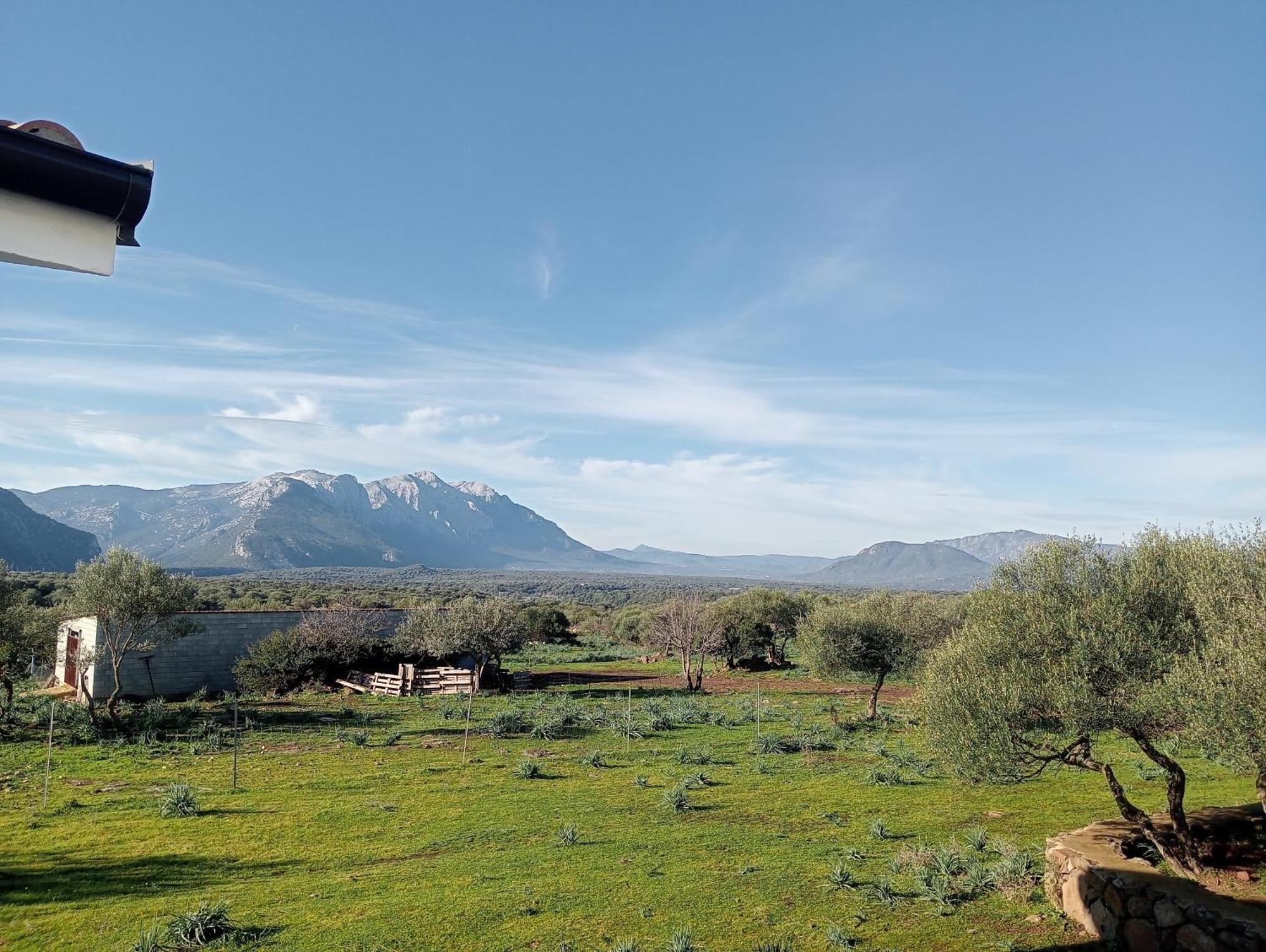 Agriturismo Sa Murta Dorgali Zewnętrze zdjęcie