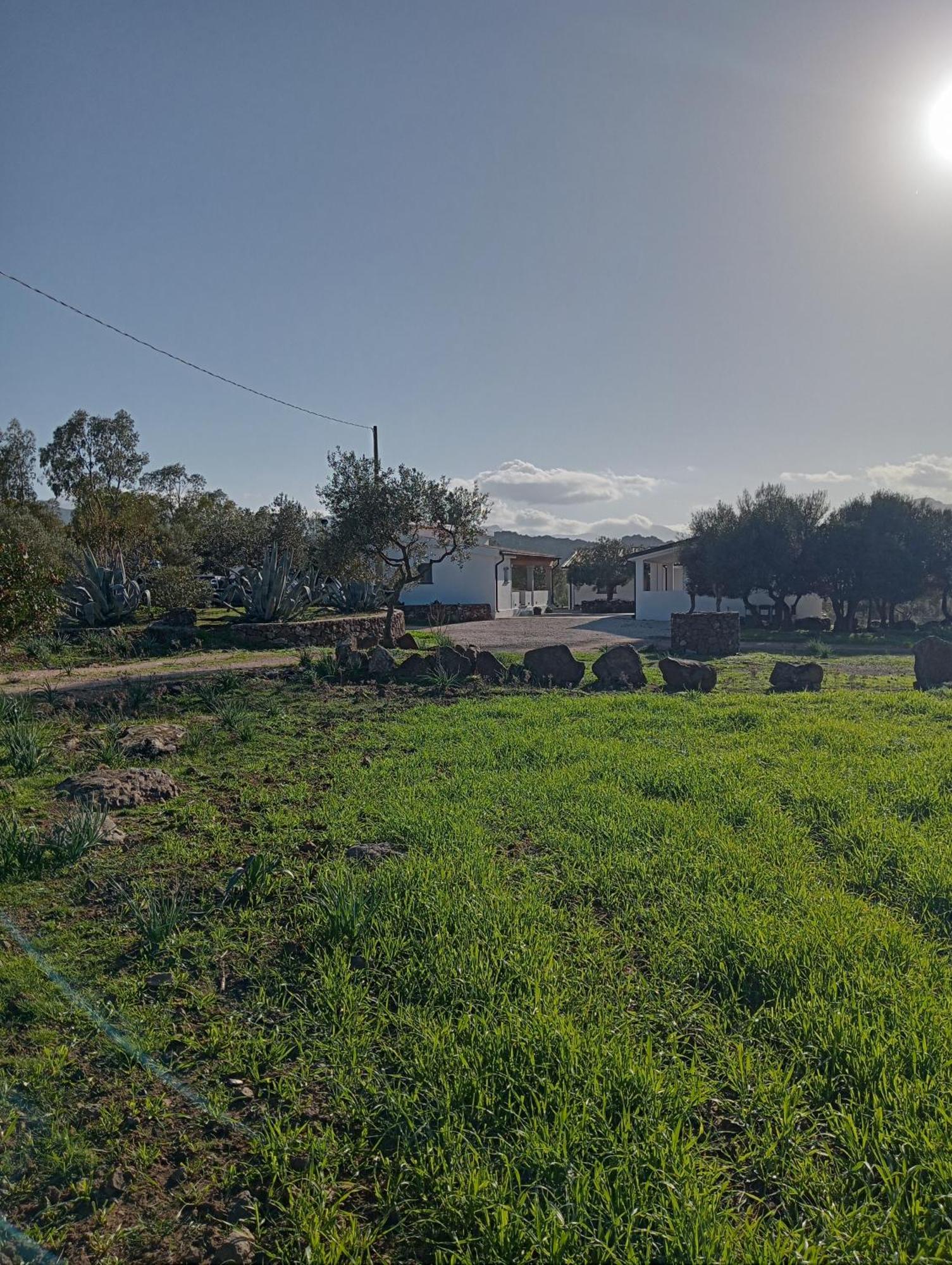 Agriturismo Sa Murta Dorgali Zewnętrze zdjęcie